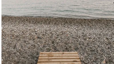 Cannes Lions letos poprvé ovládají creators. Vlastní pláž, vlastní kategorie cen a investoři se stovkami milionů