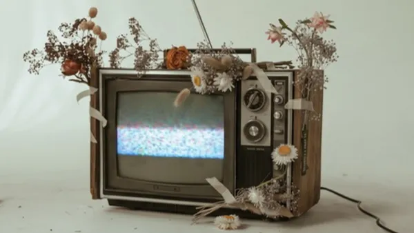 Stará televize se statickým šumem obrostlá suchými květinami