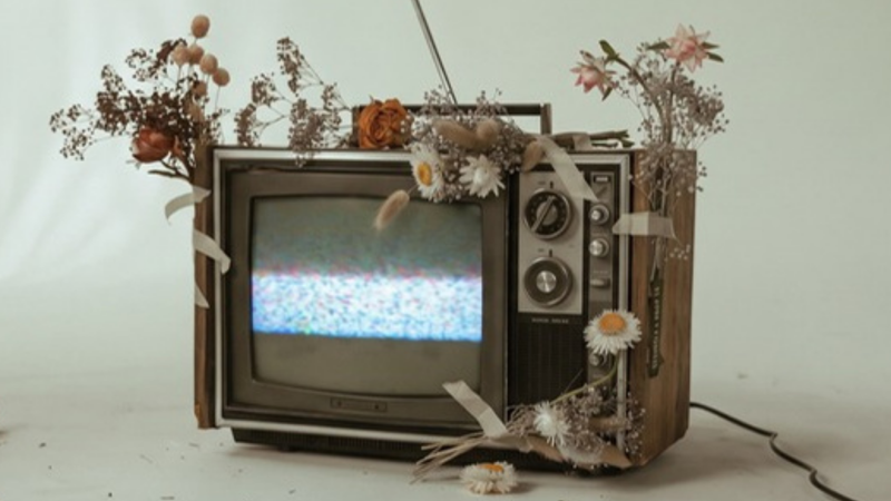 Stará televize se statickým šumem obrostlá suchými květinami